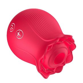 Estimulador Clitoriano Recarregável 12 Modos de Pulsação Rosa Flor ...