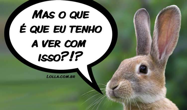 jack Rabbit pergunta