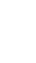 Bullet